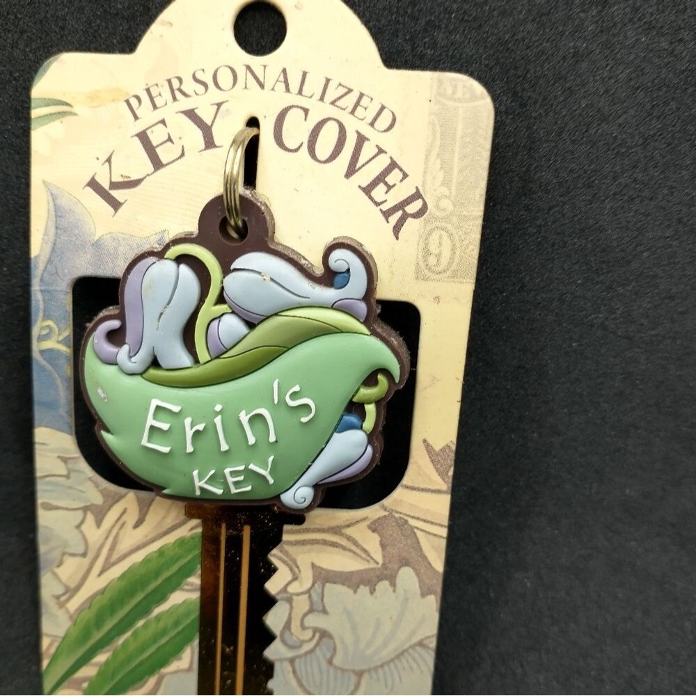 Erin Key Cover